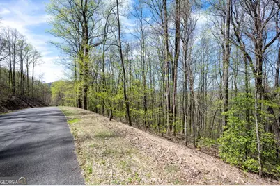 Lot 7R Mountain Falls Loop, Ellijay, GA 30540 - Photo 47