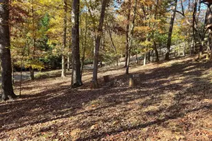 228 Centergate Dr, Ellijay, GA 30540 - Photo 47