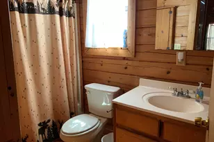 114 Palisade Dr, Ellijay, GA 30540 - Photo 29