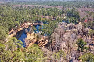 113 Flamingo Ln, Statesboro, GA 30461 - Photo 69