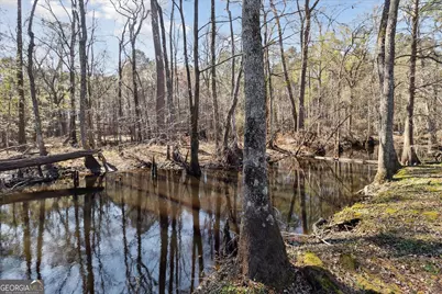 113 Flamingo Lane, Statesboro, GA 30461 - Photo 59