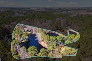 113 Flamingo Ln, Statesboro, GA 30461 - Photo 73