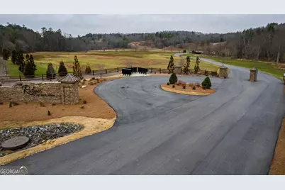 171 Split Creek Court, Morganton, GA 30560 - Photo 9