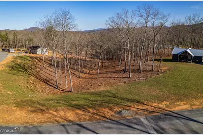 171 Split Creek Court, Morganton, GA 30560 - Photo 7