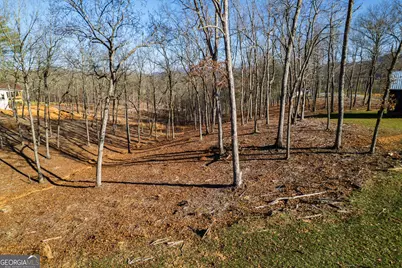 171 Split Creek Court, Morganton, GA 30560 - Photo 5