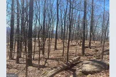 58 Mountainside Drive, Cleveland, GA 30528 - Photo 1