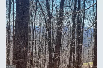 58 Mountainside Drive, Cleveland, GA 30528 - Photo 5