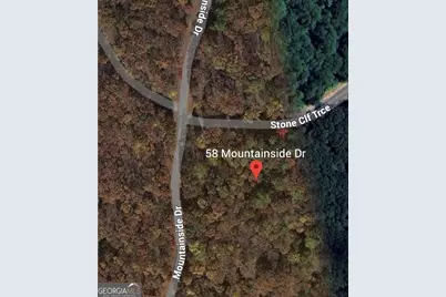 58 Mountainside Drive, Cleveland, GA 30528 - Photo 25