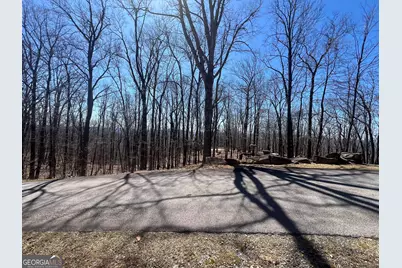 58 Mountainside Drive, Cleveland, GA 30528 - Photo 3