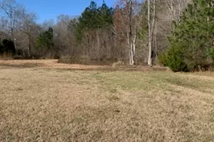 725 County Line Church Rd, Griffin, GA 30223 - Photo 3