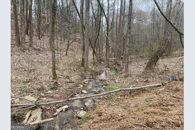 247 Tatum Road, Talking Rock, GA 30175 - Photo 5