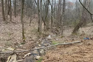 247 Tatum Rd, Talking Rock, GA 30175 - Photo 5