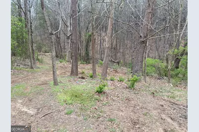 247 Tatum Road, Talking Rock, GA 30175 - Photo 17