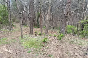 247 Tatum Rd, Talking Rock, GA 30175 - Photo 17