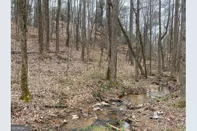 247 Tatum Road, Talking Rock, GA 30175 - Photo 9