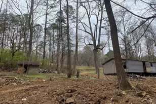 247 Tatum Rd, Talking Rock, GA 30175 - Photo 11