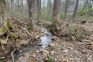 247 Tatum Rd, Talking Rock, GA 30175 - Photo 21