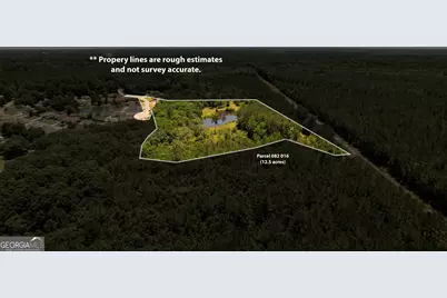 20 Acres Kingsland, West Of Hwy 17, Kingsland, GA 31548 - Photo 3