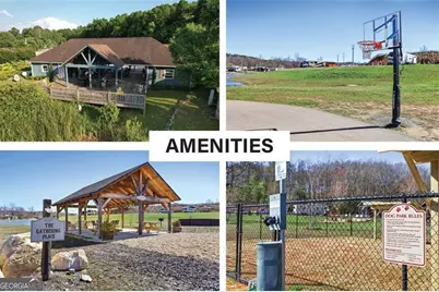 L-183 Mountain Meadows Drive, Morganton, GA 30560 - Photo 7