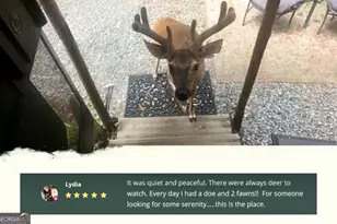 151 25th St, Ellijay, GA 30540 - Photo 15