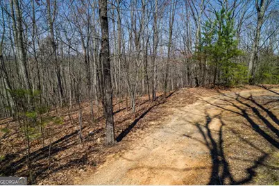 Lot 35 Heatherwood Way, Talking Rock, GA 30175 - Photo 13