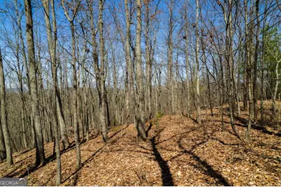 Lot 35 Heatherwood Way, Talking Rock, GA 30175 - Photo 11