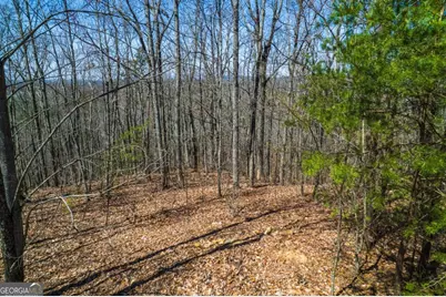 Lot 35 Heatherwood Way, Talking Rock, GA 30175 - Photo 17
