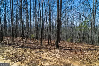 Lot 35 Heatherwood Way, Talking Rock, GA 30175 - Photo 15