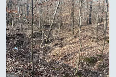 3140 NE Gees Mill Road, Conyers, GA 30013 - Photo 3