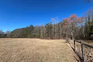 150 Charles Painter Rd, Villa Rica, GA 30180 - Photo 31