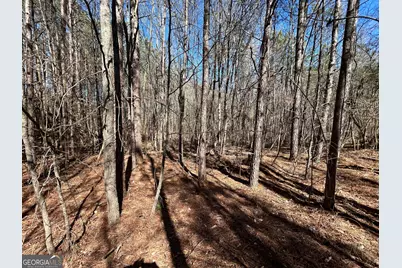 150 Charles Painter Road, Villa Rica, GA 30180 - Photo 43