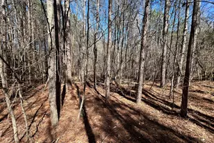 150 Charles Painter Rd, Villa Rica, GA 30180 - Photo 43