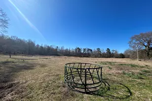 150 Charles Painter Rd, Villa Rica, GA 30180 - Photo 29