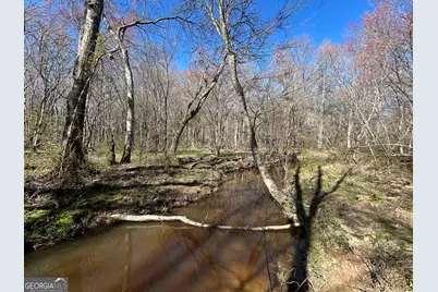 150 Charles Painter Road, Villa Rica, GA 30180 - Photo 39