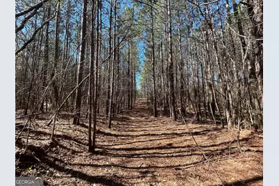 150 Charles Painter Road, Villa Rica, GA 30180 - Photo 45