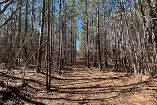 150 Charles Painter Rd, Villa Rica, GA 30180 - Photo 45