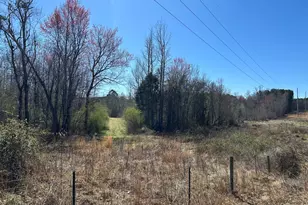 150 Charles Painter Rd, Villa Rica, GA 30180 - Photo 41