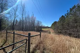 150 Charles Painter Rd, Villa Rica, GA 30180 - Photo 47