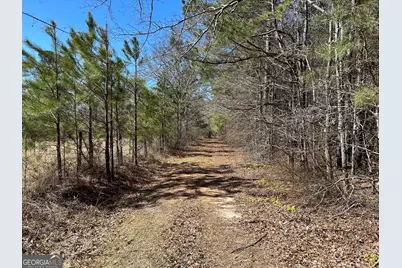 150 Charles Painter Road, Villa Rica, GA 30180 - Photo 35