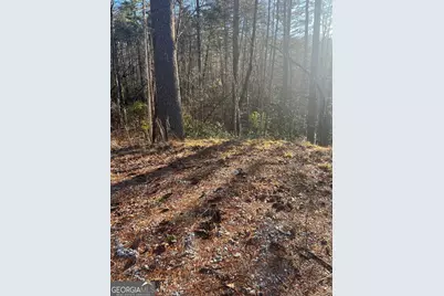 0 Sylvan Lake Drive #47,48, Rabun Gap, GA 30568 - Photo 7