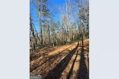 0 Sylvan Lake Drive #47,48, Rabun Gap, GA 30568 - Photo 5