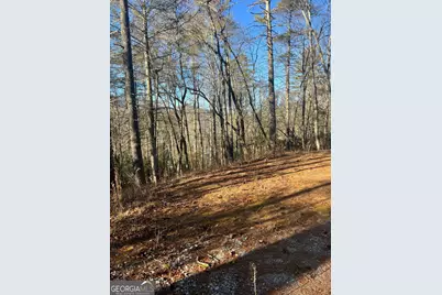 0 Sylvan Lake Drive #47,48, Rabun Gap, GA 30568 - Photo 9