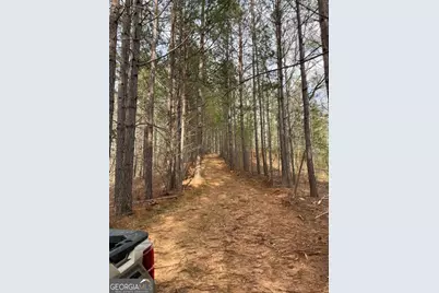 0 Shady Grove Road, Talking Rock, GA 30175 - Photo 23