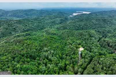 0 Shady Grove Road, Talking Rock, GA 30175 - Photo 15