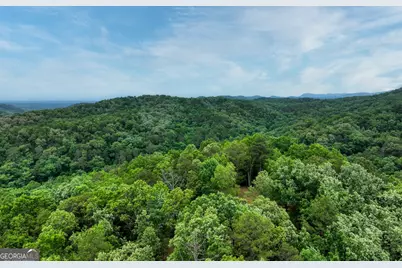0 Shady Grove Road, Talking Rock, GA 30175 - Photo 19