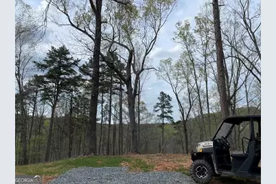 0 Shady Grove Road, Talking Rock, GA 30175 - Photo 5