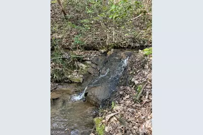 0 Shady Grove Road, Talking Rock, GA 30175 - Photo 11