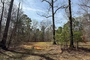 0 Sugar Creek Trail, Buckhead, GA 30625 - Photo 3