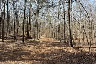 0 Sugar Creek Trail, Buckhead, GA 30625 - Photo 7