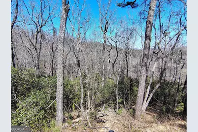 0 Ivy Ridge Way #LOT 50, Clarkesville, GA 30523 - Photo 23